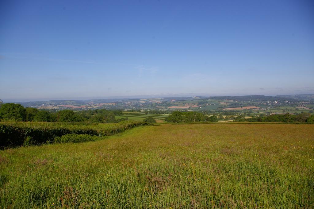 فندق أكسمنسترفي  Wyke Farm المظهر الخارجي الصورة